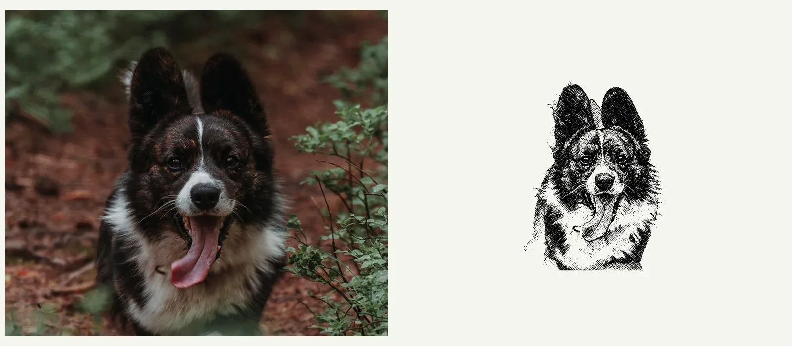 The dog photo that went in, and the dot drawing that came out